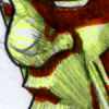 chauve_01